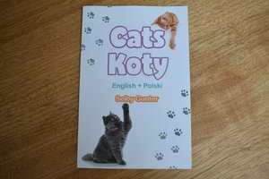 Cats / Koty